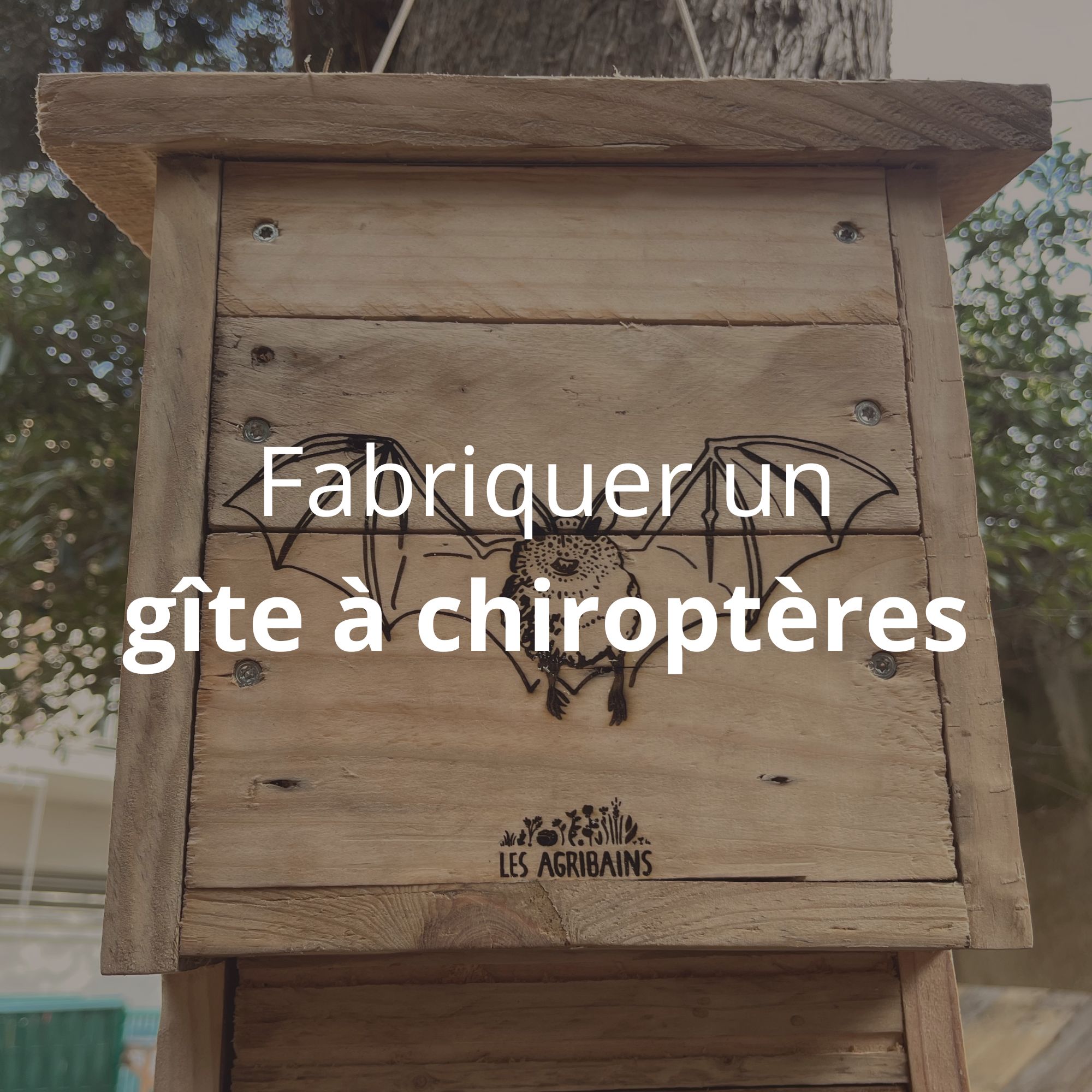 Fabriquer un gîte à chiroptères