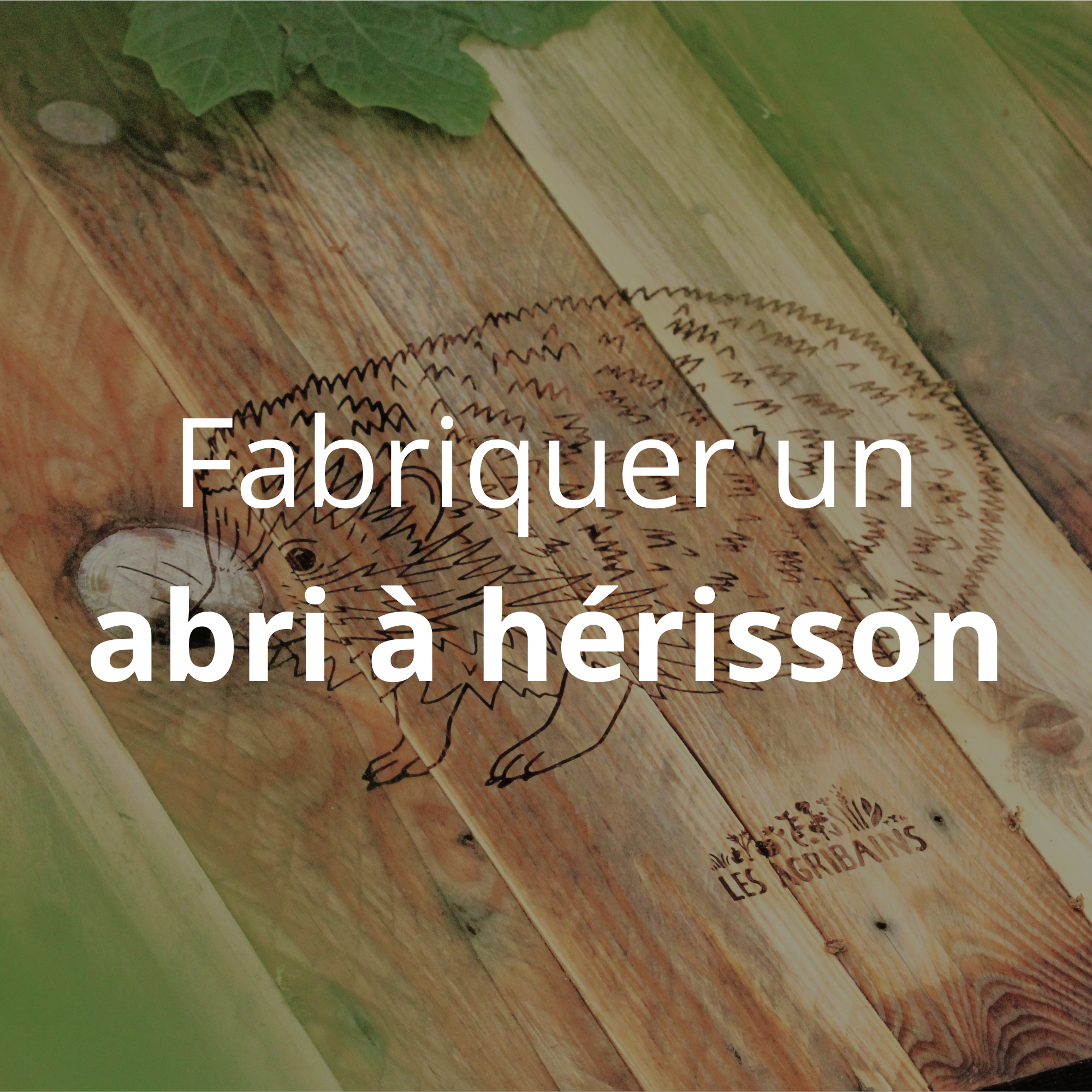 Fabriquer un abri à hérisson