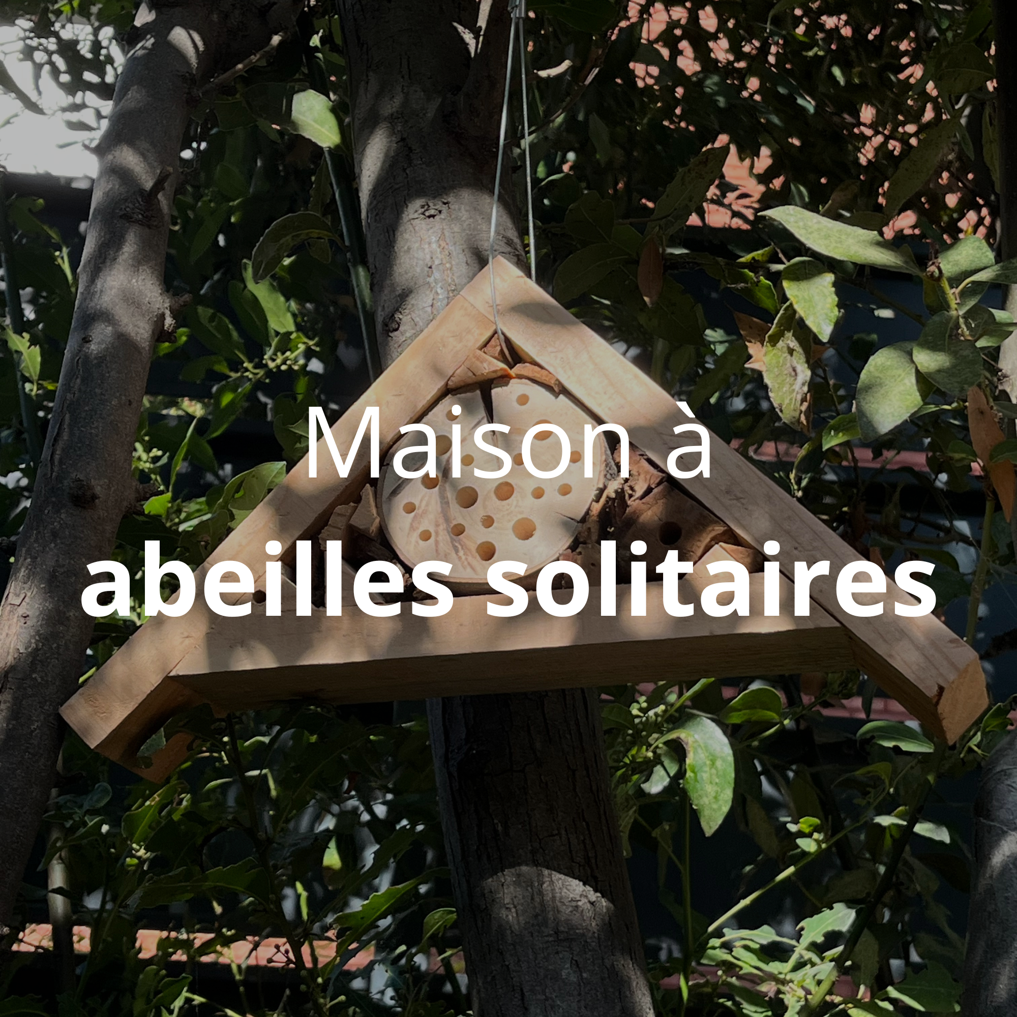 Fabriquer une maison à abeilles solitaires