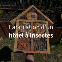 Fabriquer un hôtel à insectes