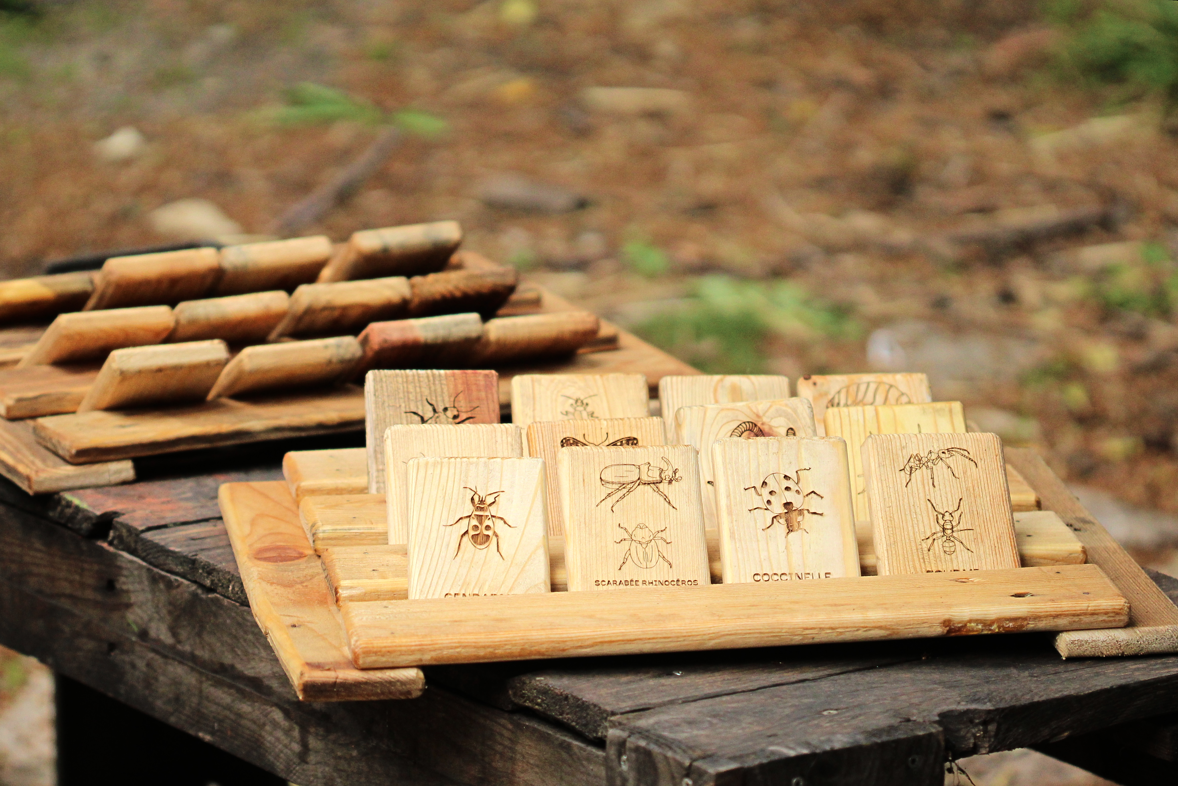 Qui est-ce ? et Memory (2 en 1)