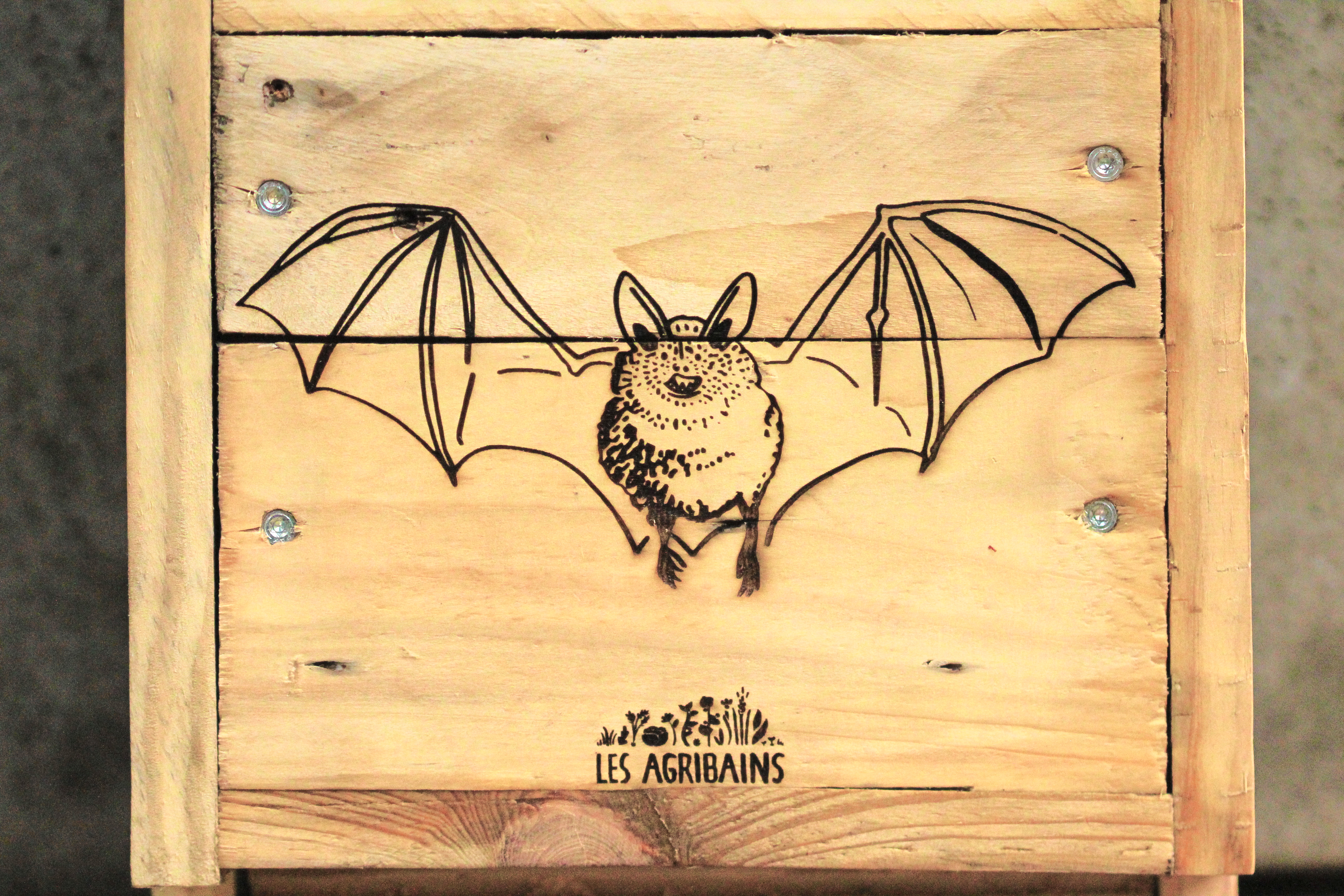 Gîte à chiroptères