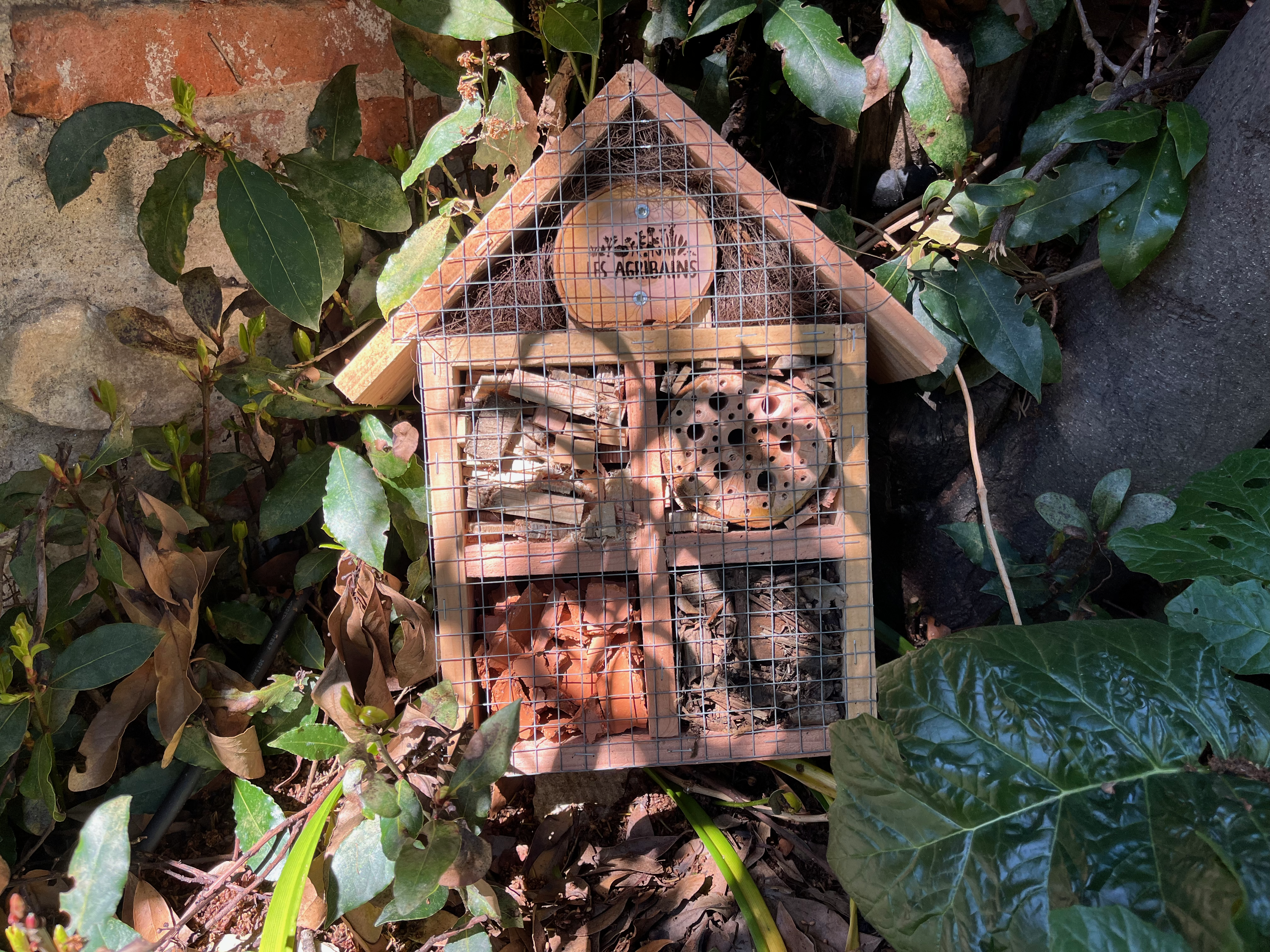 Hôtel à insectes