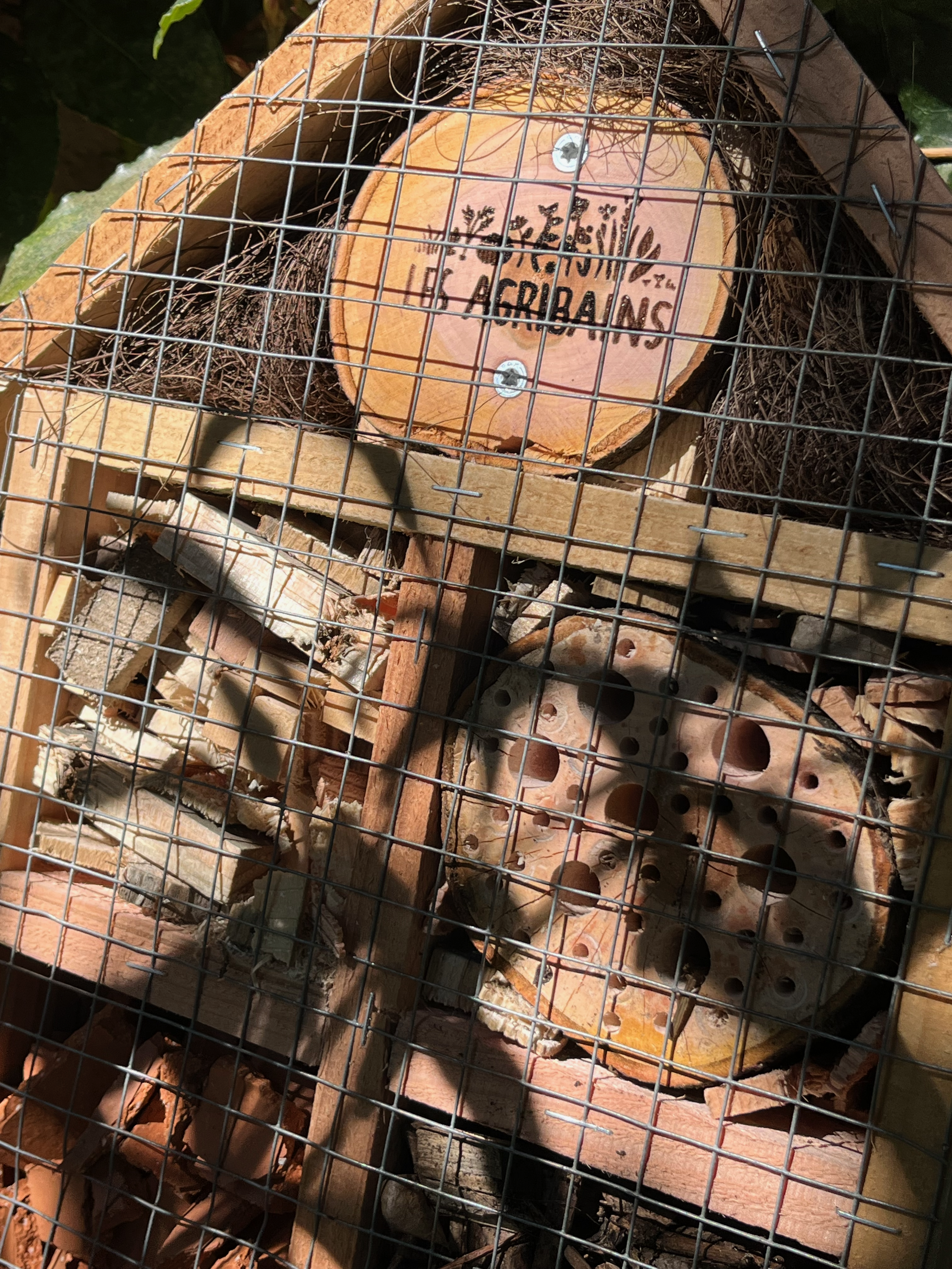 Hôtel à insectes