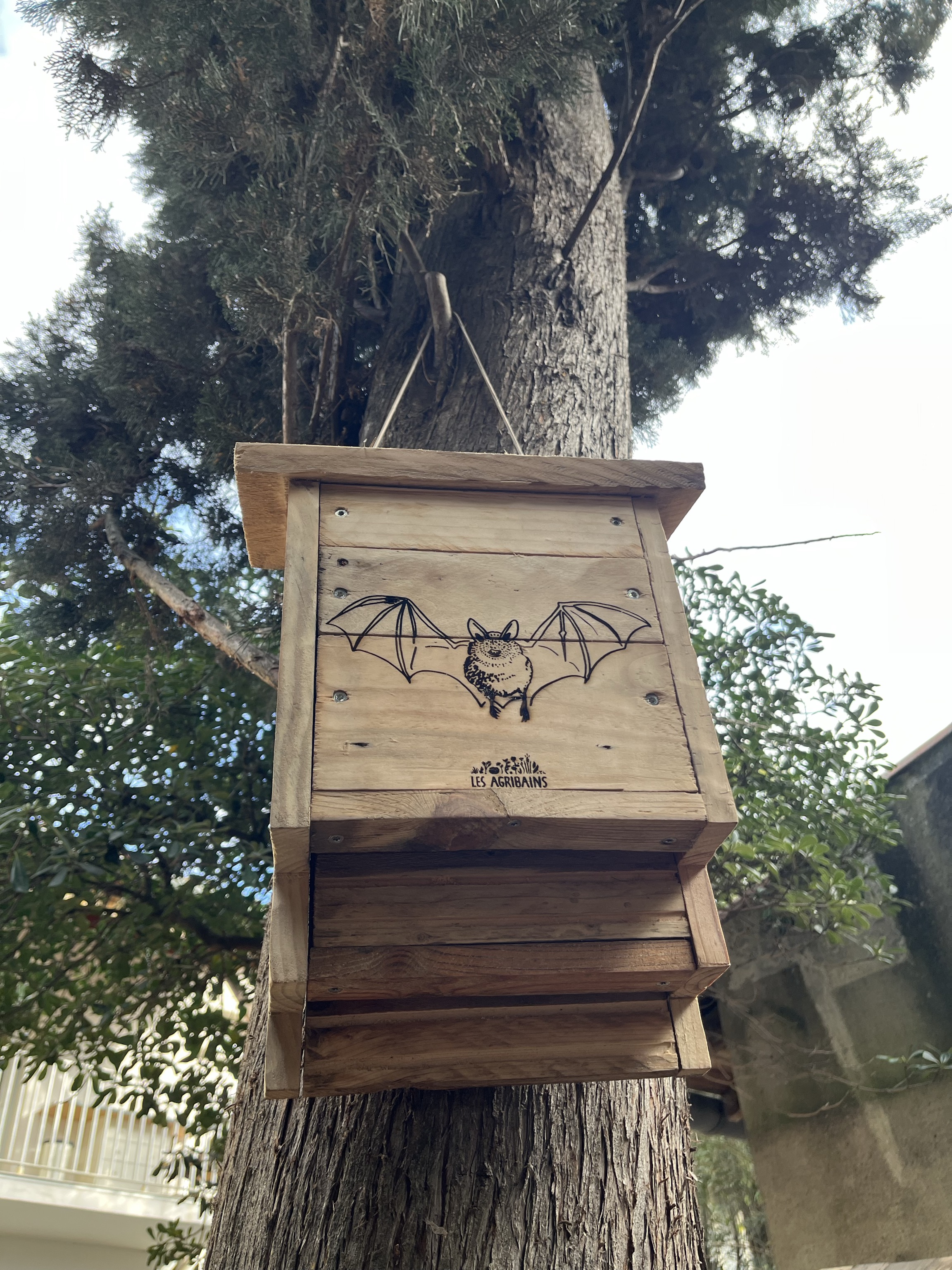 Gîte à chiroptères