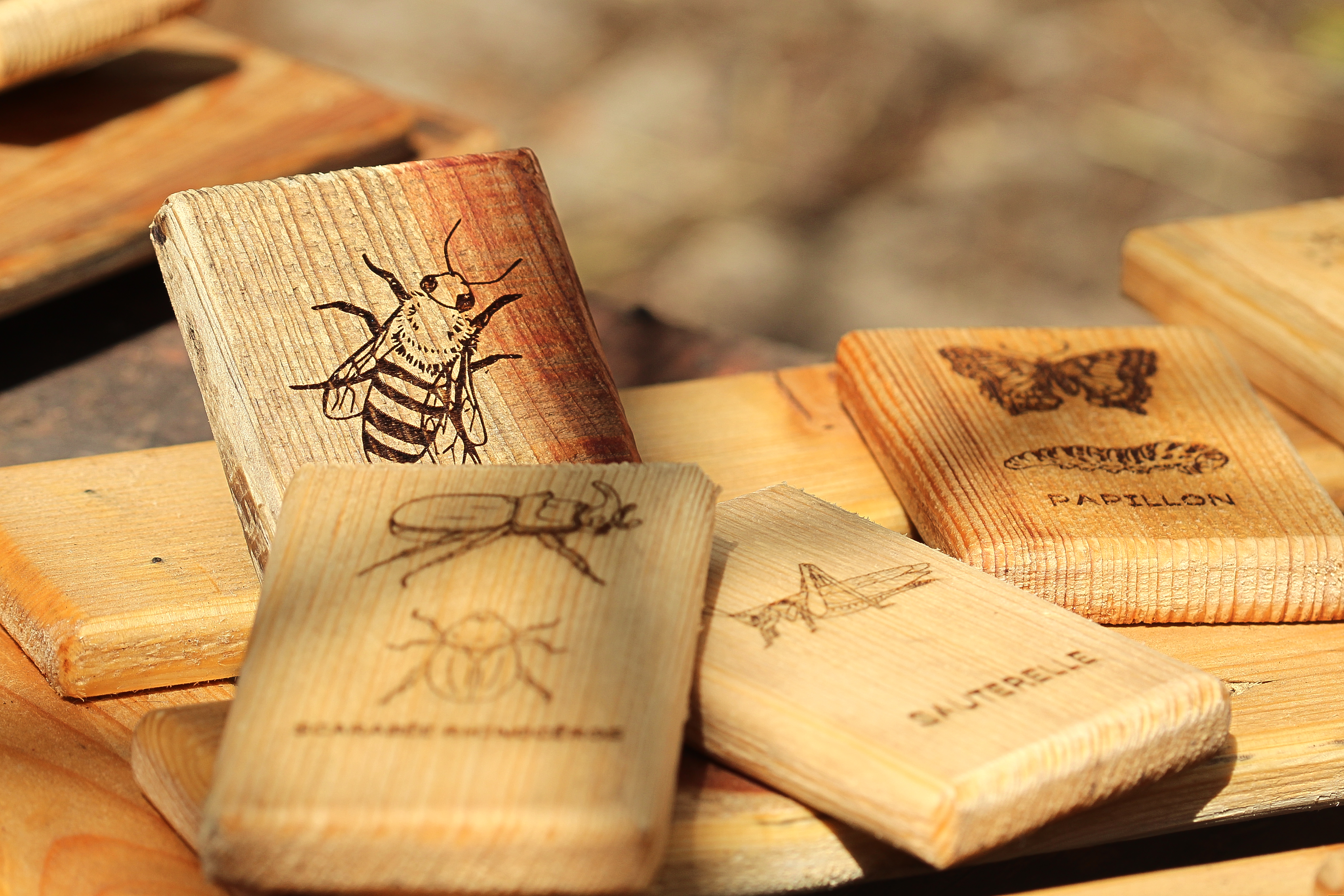 Qui est-ce ? et Memory (2 en 1)