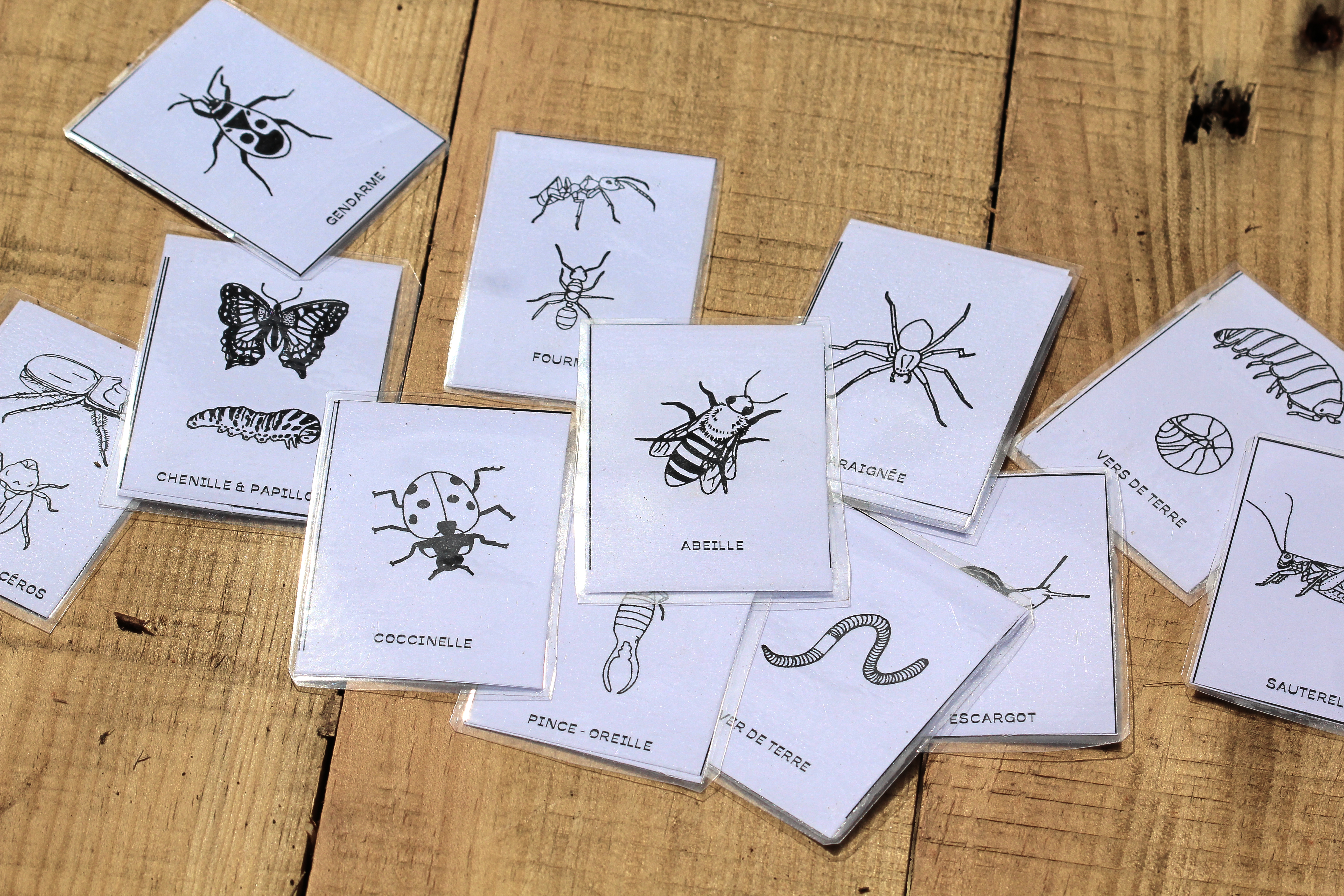 Qui est-ce ? et Memory (2 en 1)