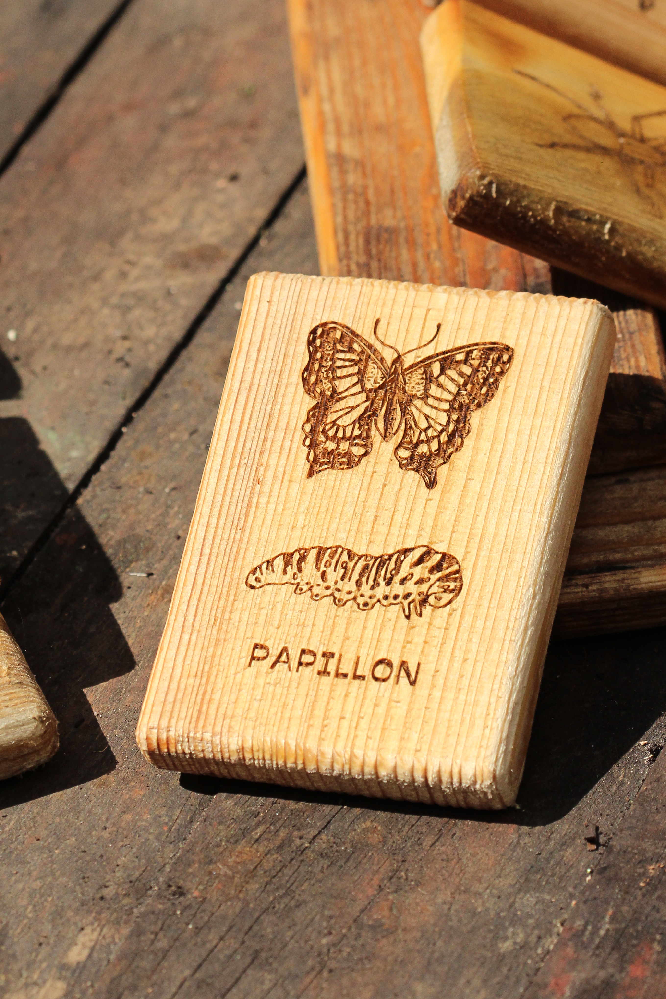 Qui est-ce ? et Memory (2 en 1)