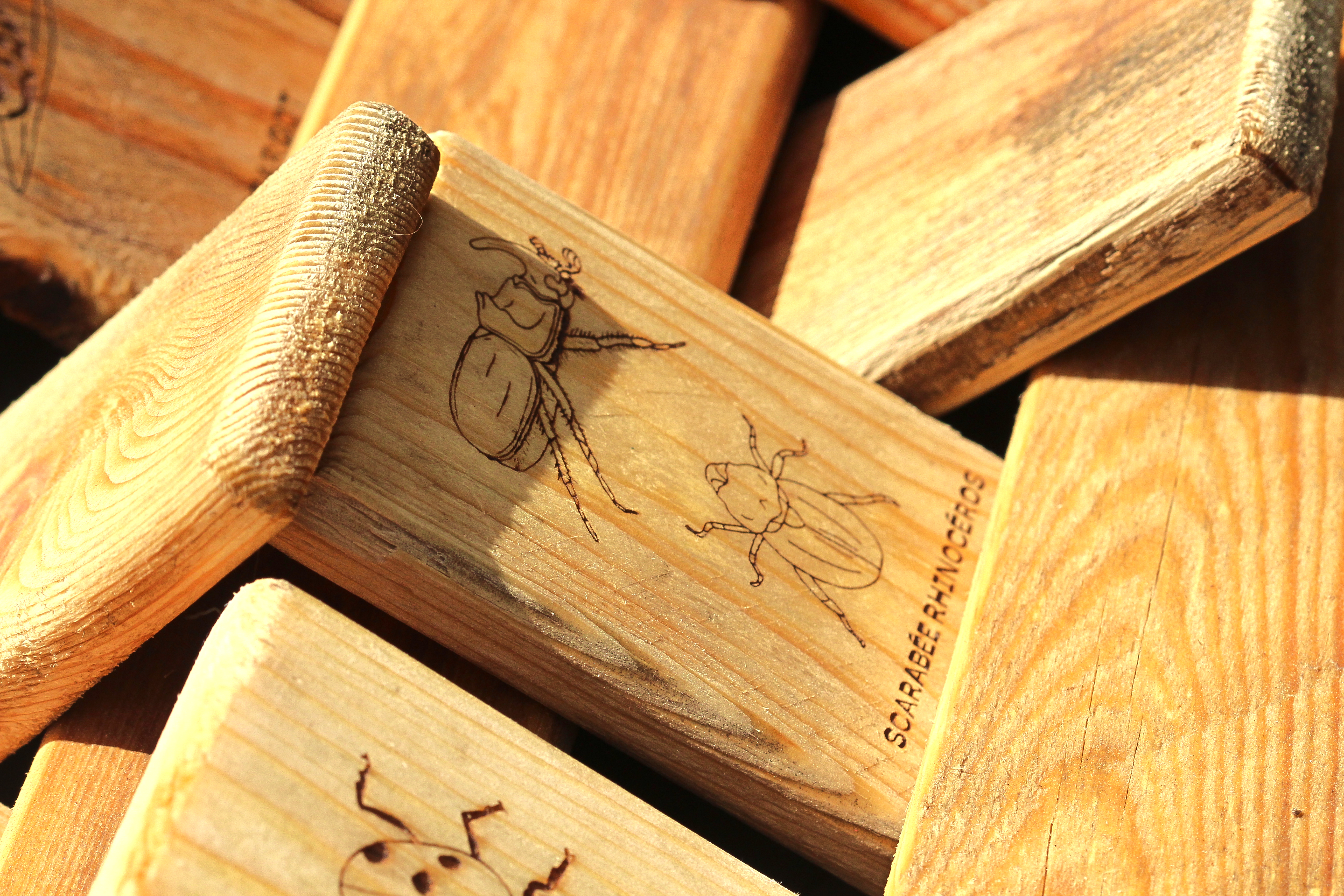 Qui est-ce ? et Memory (2 en 1)