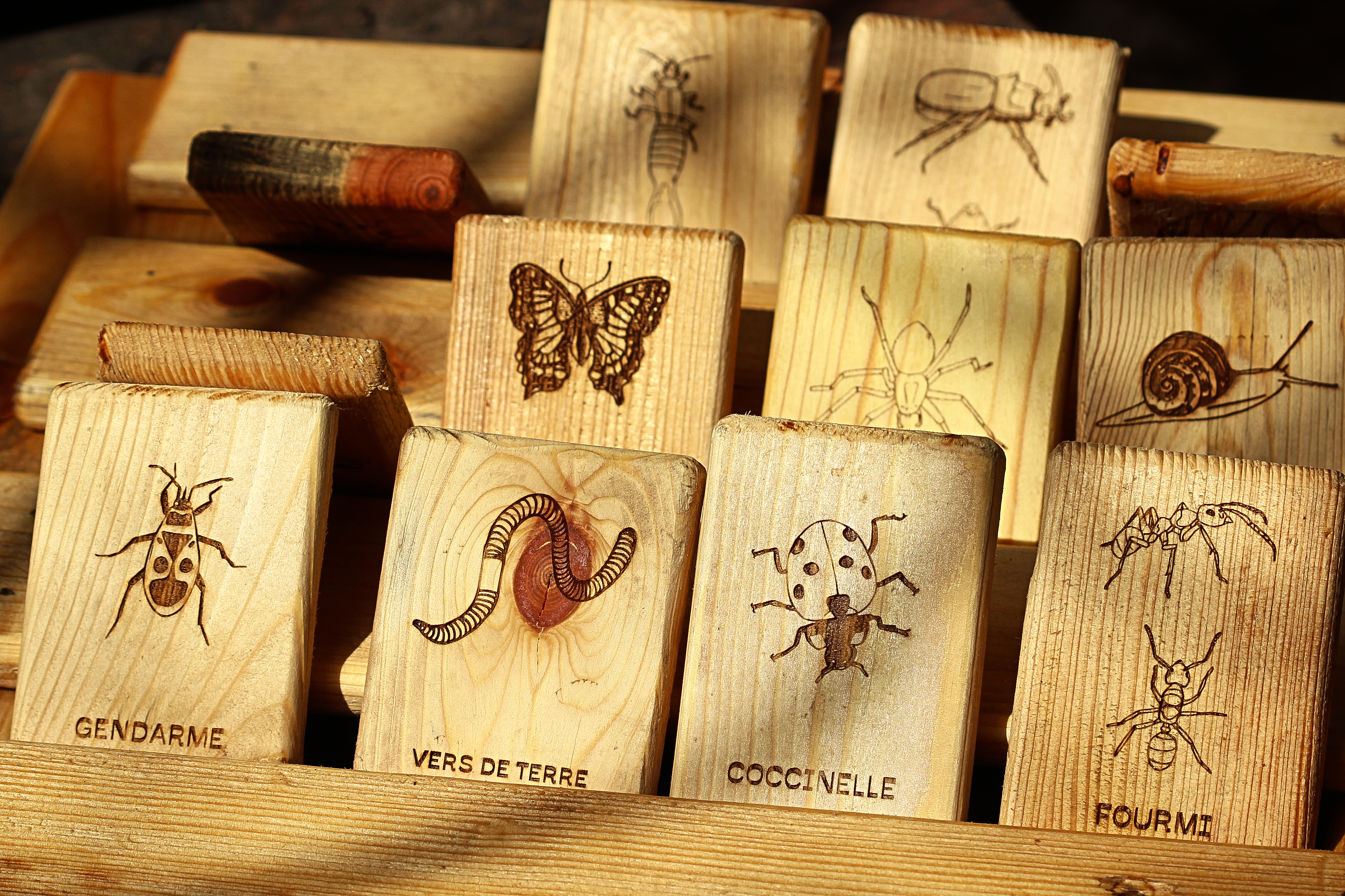 Qui est-ce ? et Memory (2 en 1)