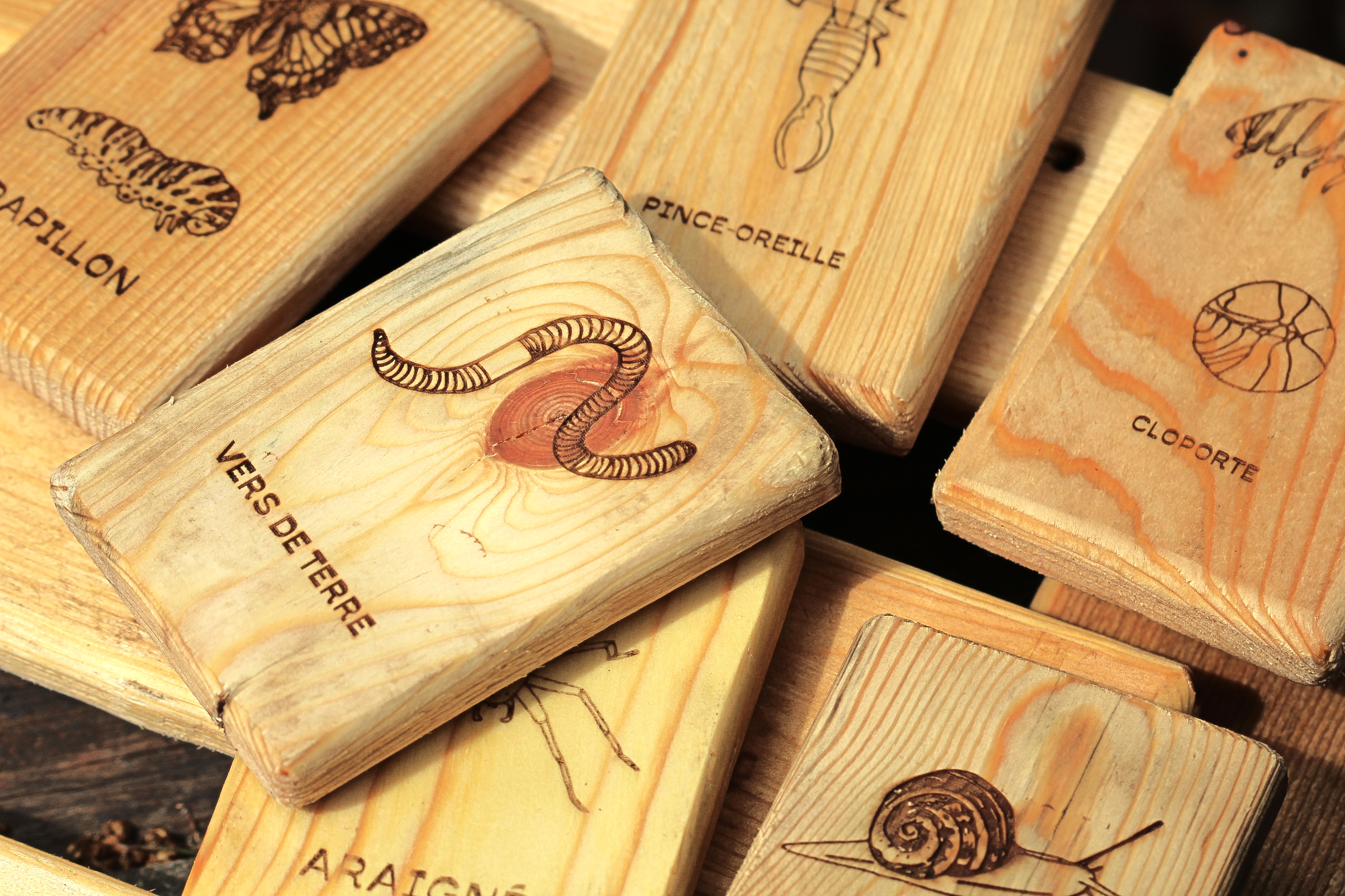 Qui est-ce ? et Memory (2 en 1)